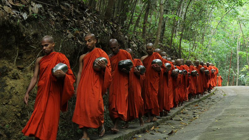 Monks in meditation