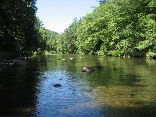 Reflecting on life's journey through the river metaphor.