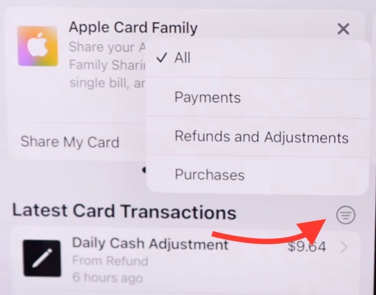 Apple Card transaction filtering options