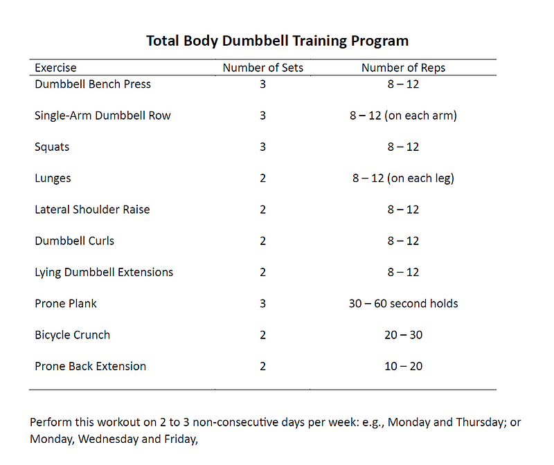 Overview of the dumbbell workout program