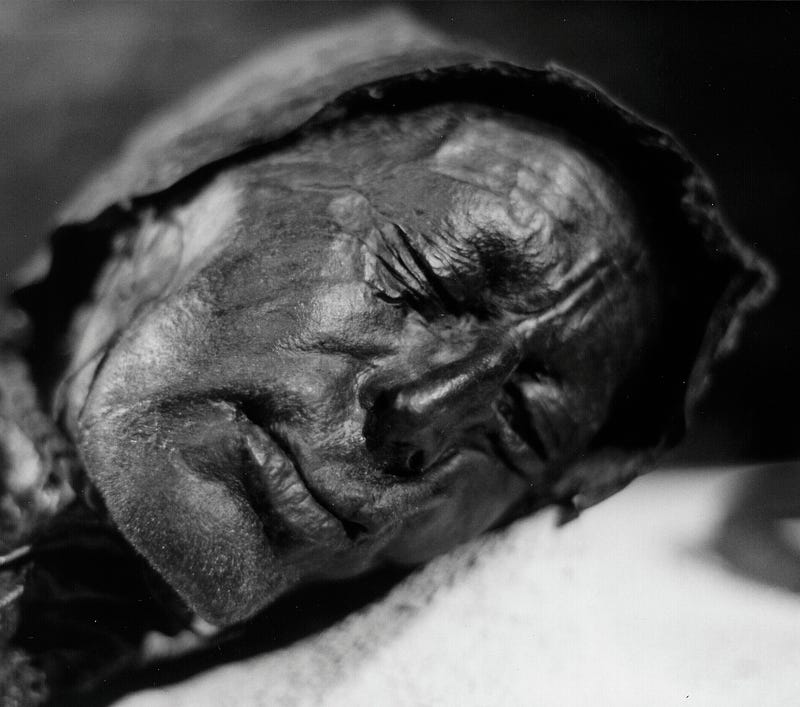 Tollund Man, an iconic bog mummy