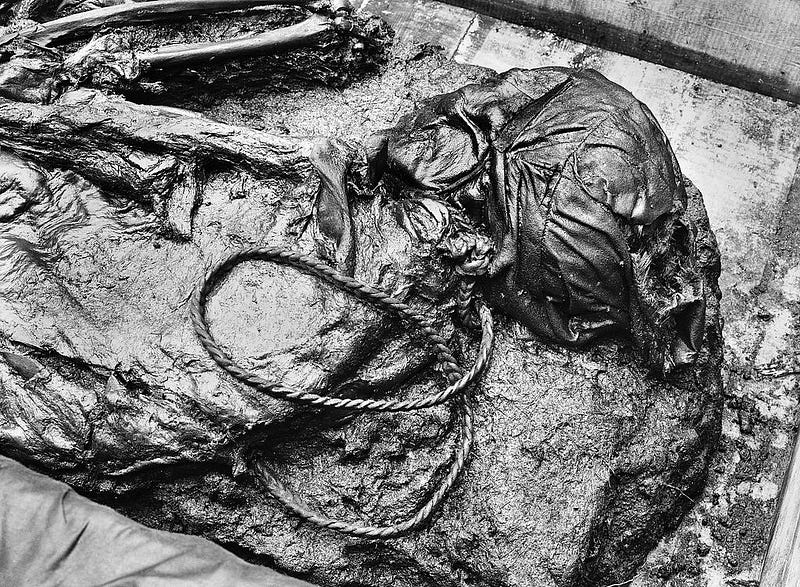 Another view of the Tollund Man mummy