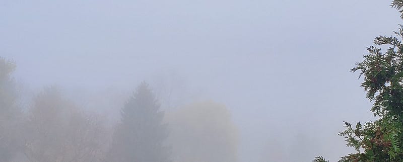 Foggy conditions indicating trace precipitation