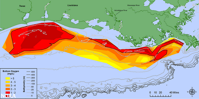 Map of Gulf of Mexico hypoxia zone