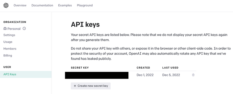 API key settings in OpenAI