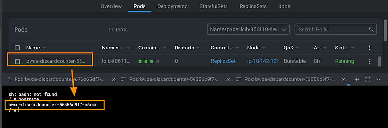 Pod Hostname Example