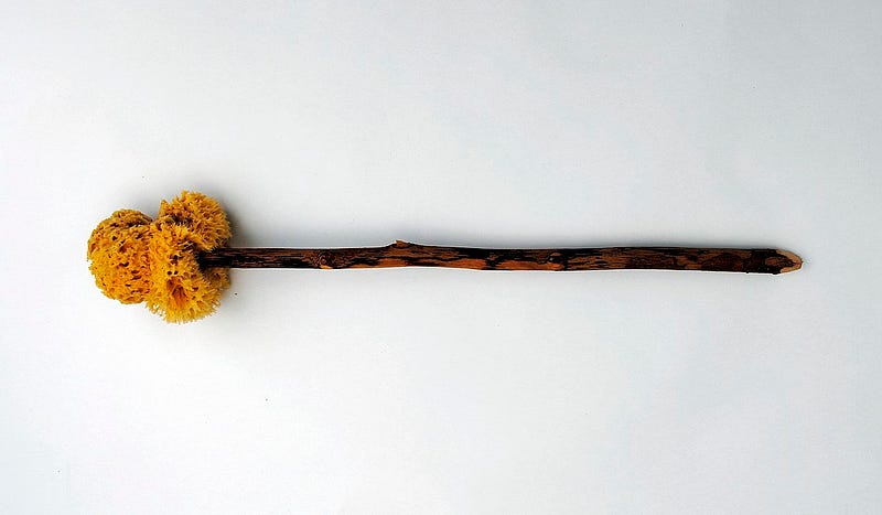 Roman toilet brush known as xylospongium