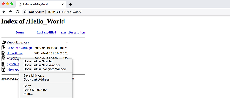 Running the backdoor on the target Mac OS