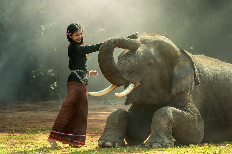 Elephant showcasing memory and intelligence