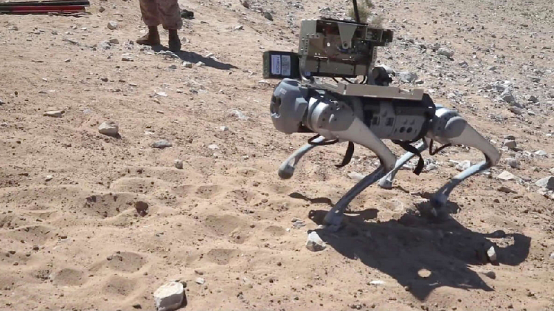 Robotic Goat preparing for military exercises