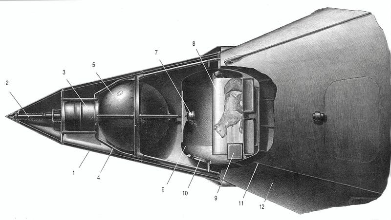 Diagram of Sputnik 2 components