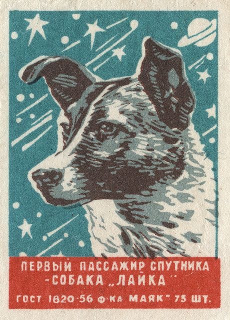 Laika's image on a Soviet matchbox